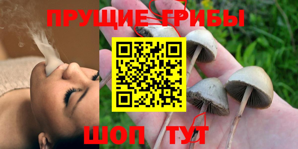 Зерноград  Галлюциногенные грибы Magic Shrooms  Вход с VPN 